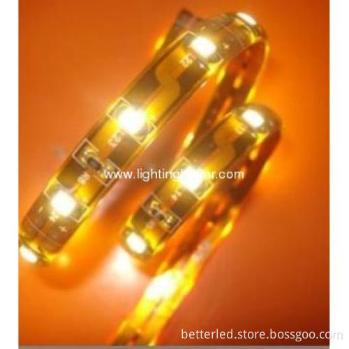 60Leds/m SMD3528 waterproof flexible strip